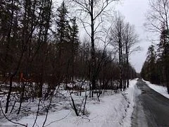 Part 11 Lot 11 Concession 6 Girl Guide Road, Coleman, On P0j 1c0