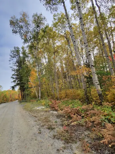 Part 12 Girl Guide Road, Coleman, On P0j 1c0