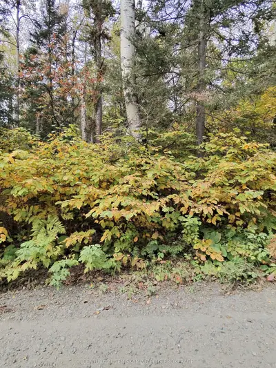 Part 12 Girl Guide Road, Coleman, On P0j 1c0