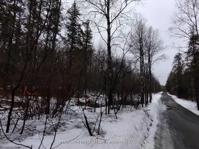 Part 12 Girl Guide Road, Coleman, On P0j 1c0
