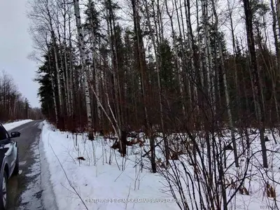 Part 13 Girl Guide Road, Coleman, On P0c 1c0