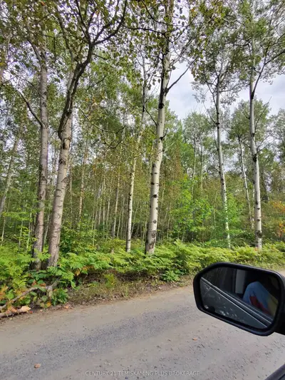 Part 13 Girl Guide Road, Coleman, On P0c 1c0