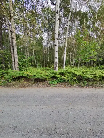 Part 13 Girl Guide Road, Coleman, On P0c 1c0