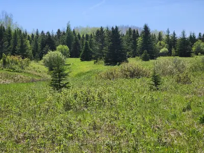 LOT 10 CON 5 , Black River-Matheson, ON P0K 1N0