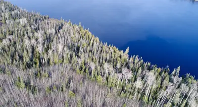 Lot 11 Con 4, Long Lake, Englehart, On P0j 1h0