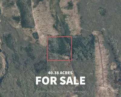 Beatty Lot 3 Con 6, Black River-matheson, On, P0k 1n0