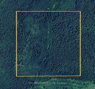 Vacant Land in Black River-Matheson