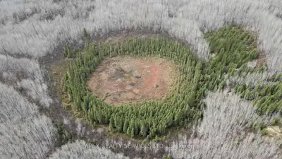 Vacant Land in Black River-Matheson