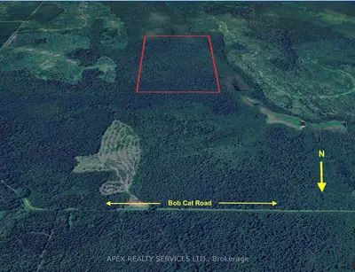 Vacant Land in Black River-Matheson