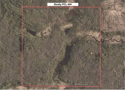Vacant Land in Black River-Matheson