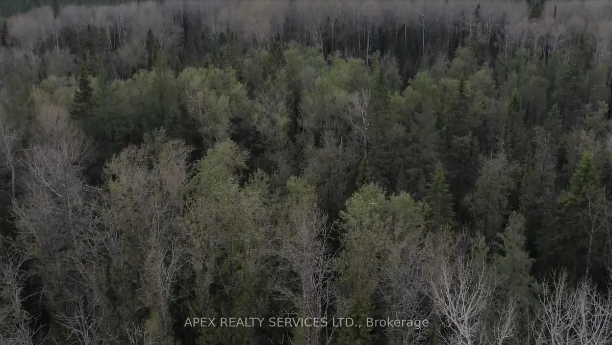 Vacant Land in Black River-Matheson
