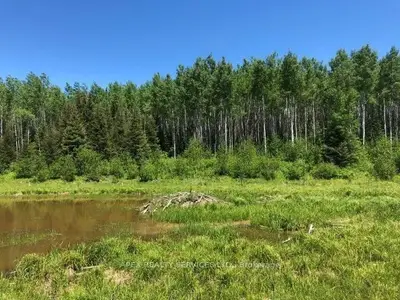 Vacant Land in Timmins