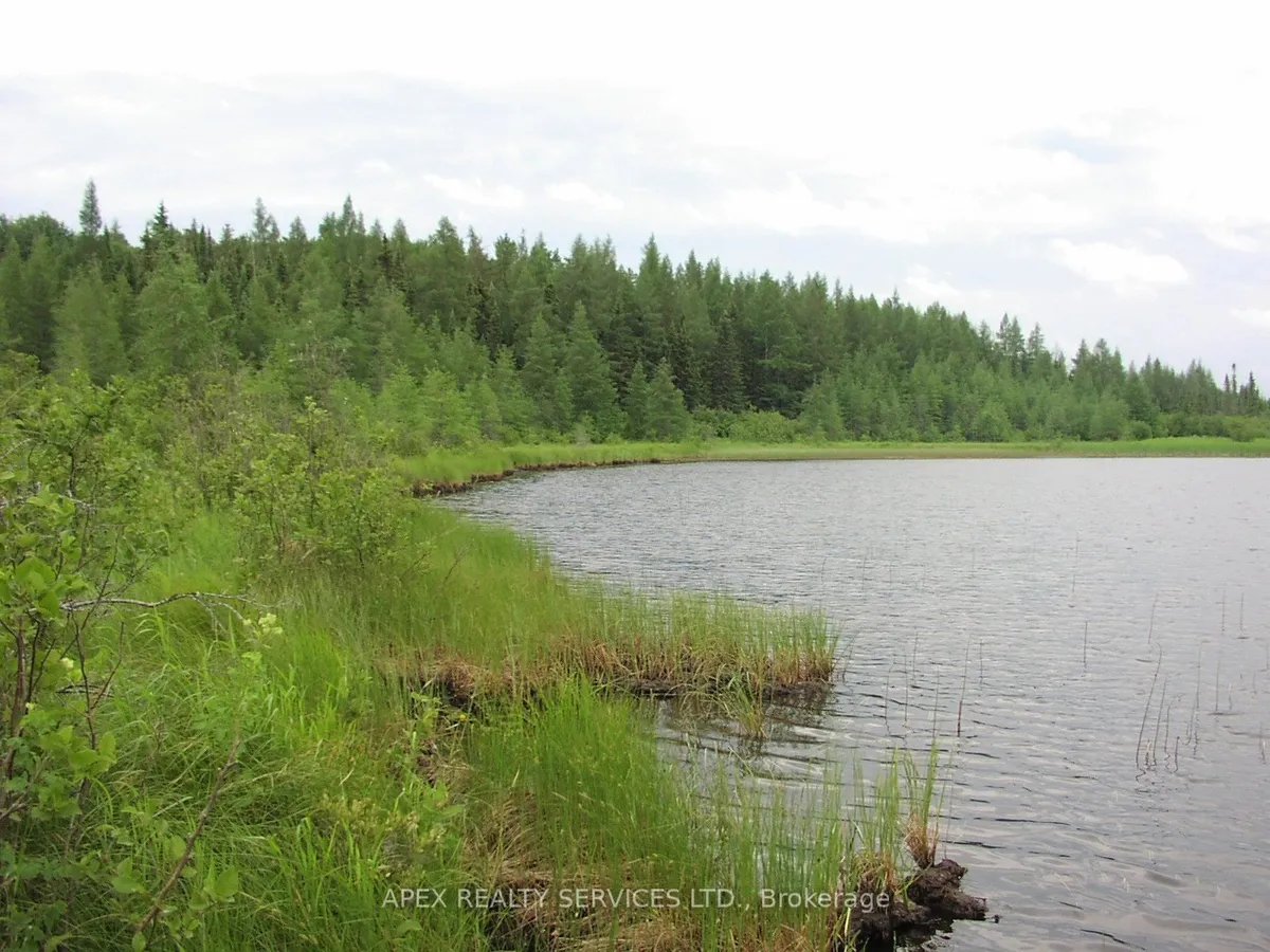 Vacant Land in Black River-Matheson