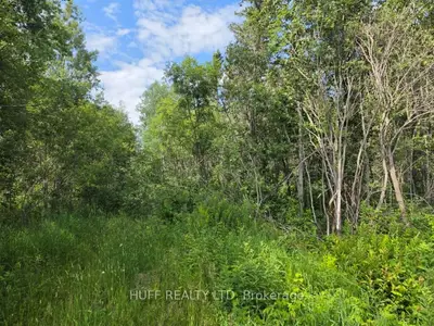 Vacant Land in Englehart