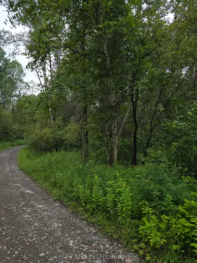 Pcl 15528 & 15527 Martin Bird Road, Kirkland Lake, On P0k 1l0
