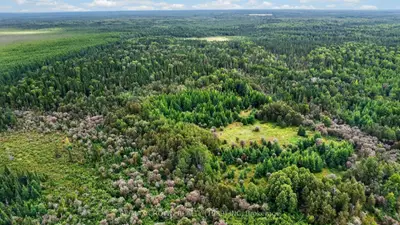 Lot 1 Conc 10 Concession, Cochrane Remote Area, On P0l 1l0