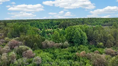 Lot 1 Conc 10 Concession, Cochrane Remote Area, On P0l 1l0