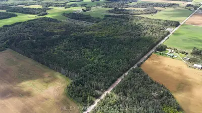 Pt Lt 1 Con 1 Dymond Rockley Road, Temiskaming Shores, On P0j 1p0