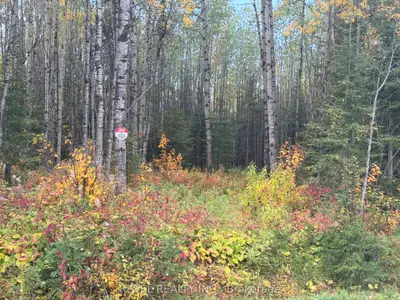 Con 1 N Pt Lot 3 Mccart, Iroquois Falls, On P0k 1e0
