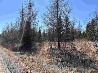 S Part Lt 1 Con 6 Lamarche Township, Cochrane, On P0l 1c0