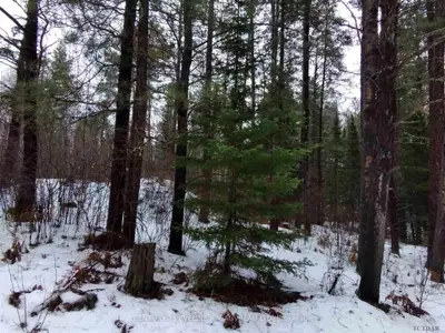 Part 14 Girl Guide Road, Coleman Township, On P0j 1c0