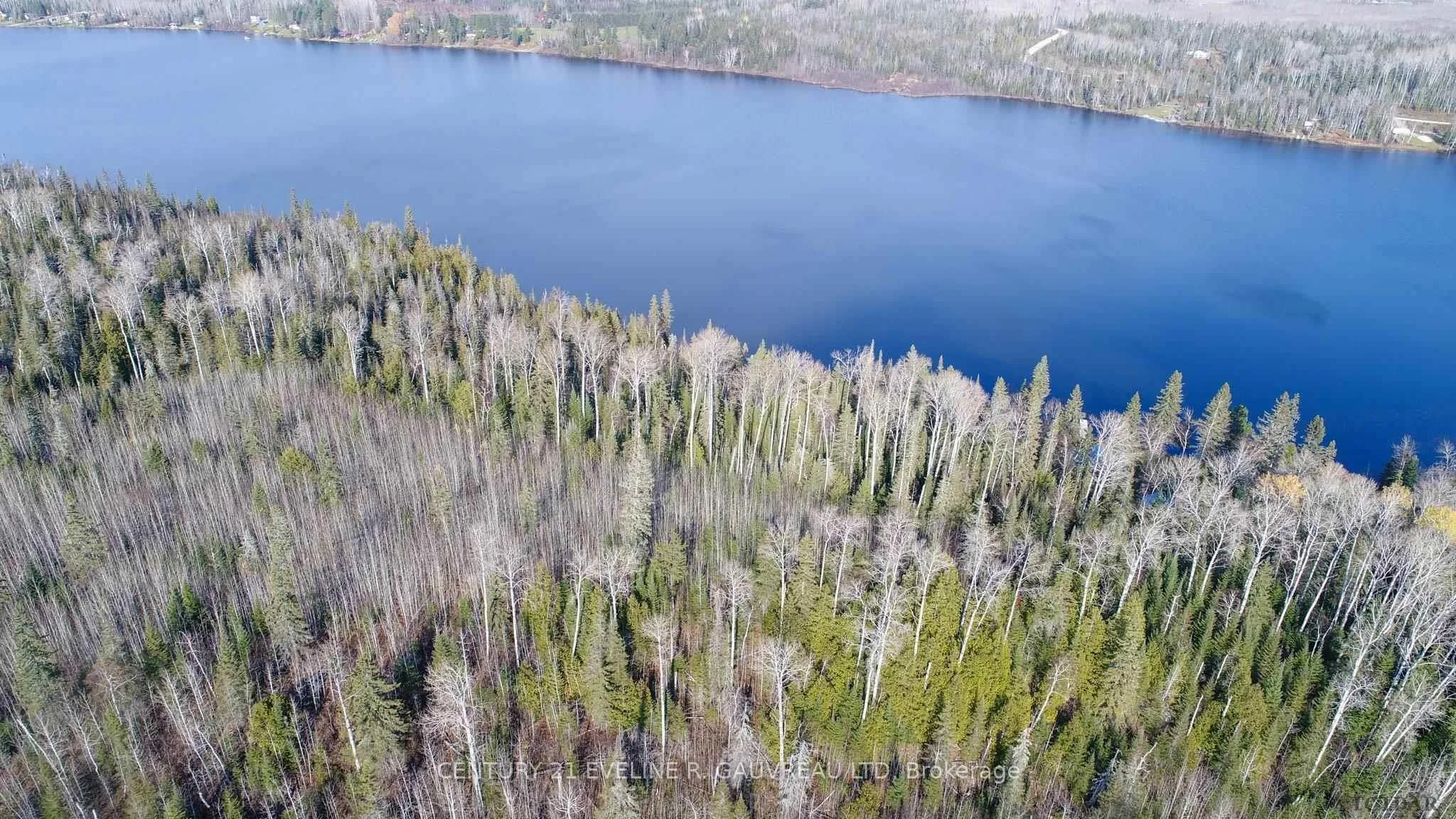 Lot 11 Con 4, Long Lake, Englehart, On, P0j 1h0