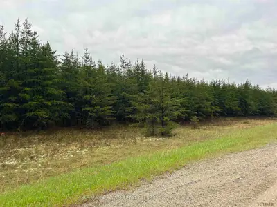 Lot 8 Hwy 101 W, Timmins, On P4r 0e6