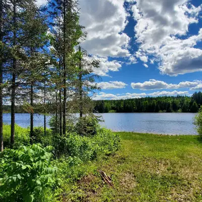 153 Rye Street, Timiskaming, On P0k 1m0