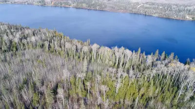 Lot 11 Con 4, Long Lake, Robillard Township, On P0j 1h0