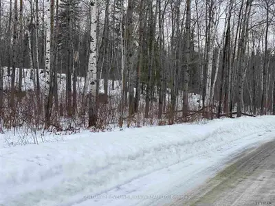 Part 1 Lot 11 Concession 6 Girl Guide Road, Coleman Township, On P0j 1c0