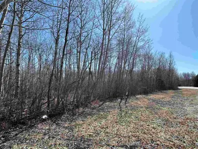 Lt 11 Con 3 Main Street, Temiskaming Shores, On P0j 1k0