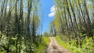 Lot 7 Concession 6 Road, Cochrane, On P0l 1c0