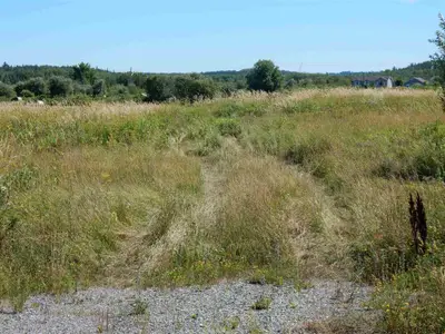 Lots 317, 319 Lake View Avenue, Temiskaming Shores, On P0j 1r0