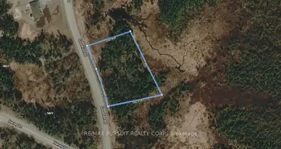 Lt 43 Goodfish Road, Morrisette Twp, On