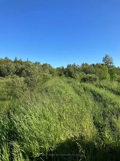 Lot 9 Concession 14, Val Rita, On P0l 2g0
