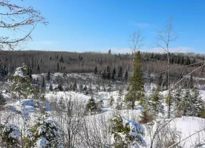 S1/2 Lot 10 Con 4, Chamberlain Township, On P0j 1h0