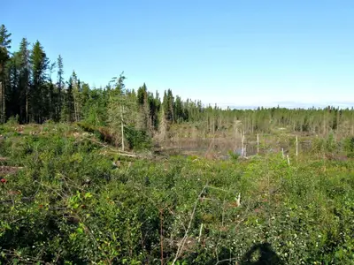 Lot 1 Con 5 Hwy 573, Savard, On P0j 1h0