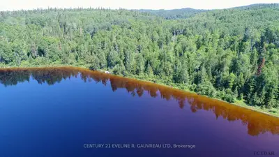 L3632 Mining Claim, Mcvittie Township, On P0k 1b0