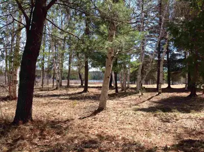 91790 Portage Bay Road, Timiskaming, On P0j 1c0