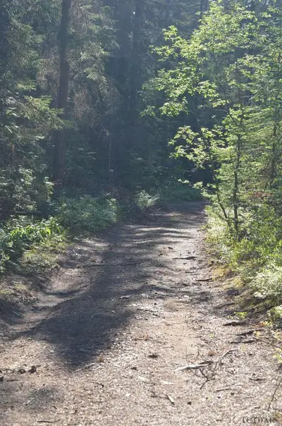 Mining Claim L14477, Virginiatown, On P0k 1x0