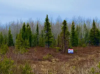 Lot 9 Con 2 Frederick House Lake Road, Timmins, On P0n 1a0