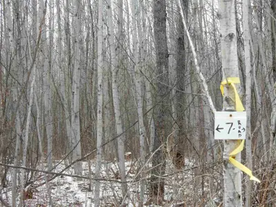 Lot 7 Campbell's Road, Englehart, On P0j 1b0
