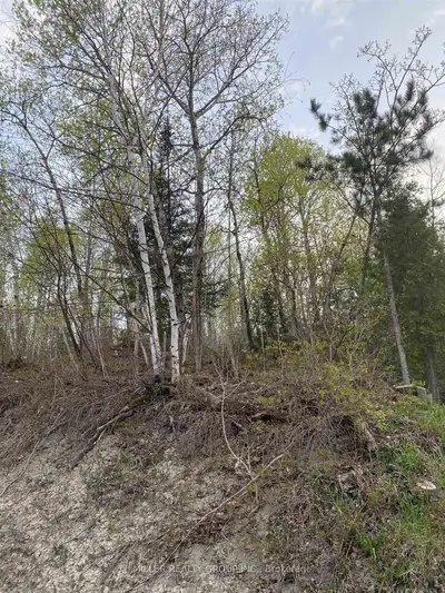 Lot 58 Regina Street, Temiskaming Shores, On P0j 1p0