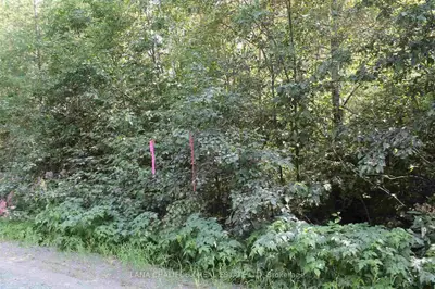 North Grenfell Road, Kenogami, On P0k 1t0