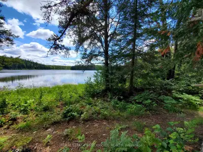 Mining Claim Ls252 Lebel Township, King Kirkland, On P0k 1k0
