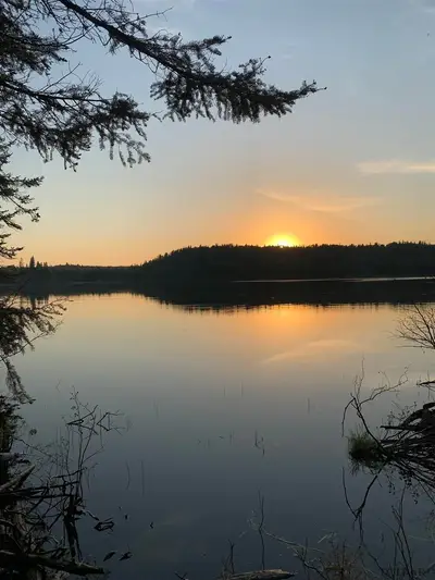 Mining Claim L8055, Township Of Mcvittie (larder Lake), On P0k 1l0