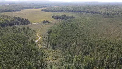 Pcl 8386 Lot 4 Con 15 Himsworth, Powassan, On P0h 1z0