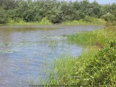 Hwy 101 E, North Driftwood River, Matheson, On P0k 1n0