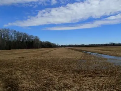 Glenvale Road, Sharpe Township, Englehart, On P0j 1h0