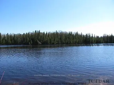 Lot 3 Con 5 Mountain Chutes Road, Barber Township, On P0j 1m0